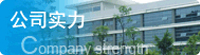 公司實力
